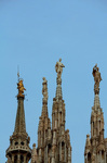 IMG_1078.jpg