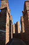 IMG_1538.jpg