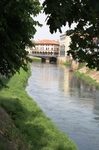 IMG_1902.jpg
